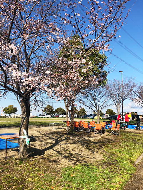 山田池公園お花見バーベキュー