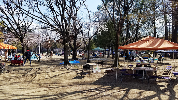 久宝寺緑地公園お花見バーベキュー