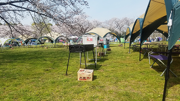 大泉緑地さくら広場お花見バーベキュー