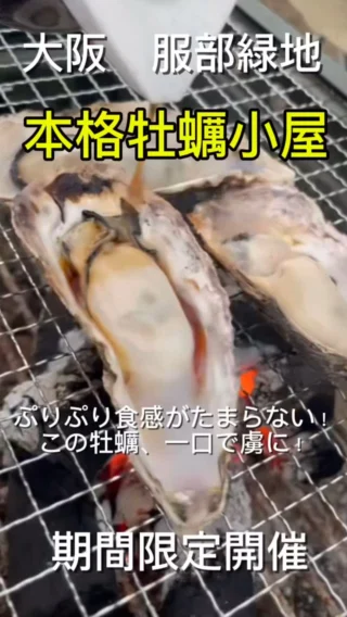 カキ屋さん専用 tierkey-tx_w14_1.jpg